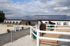 Neubau Reiterhof mit Außenanlagen in Tierstein