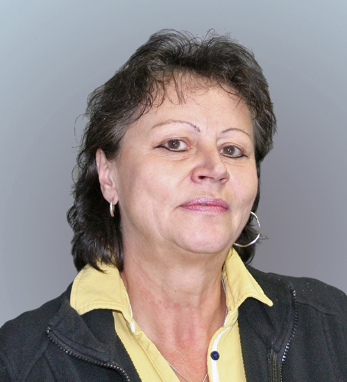 Heike Wendt